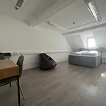 Simplex Am Ettlinger Tor Spacious Apartment *